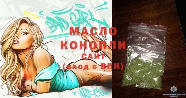 гидра Надым