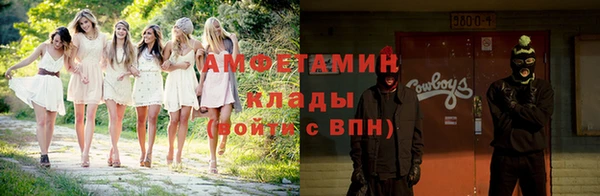 гидра Надым